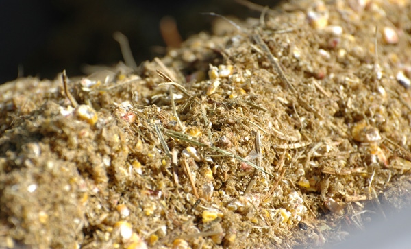 The Nutritional Value Of Distiller’s Grains Is Changing The Nutritional Value Of Distiller’s Grains Is Changing