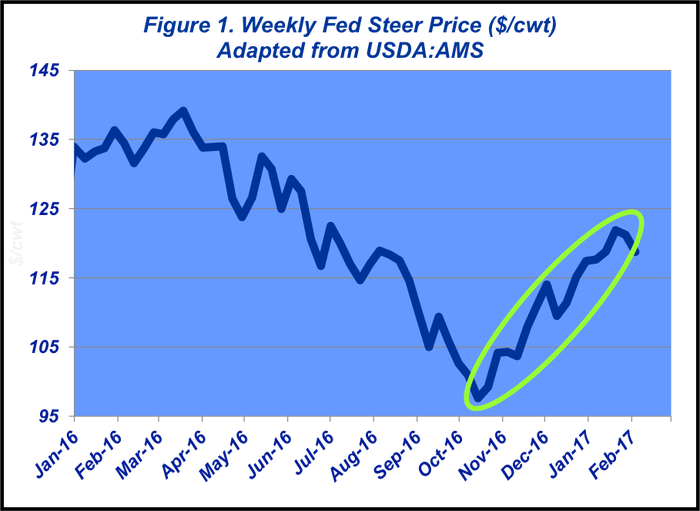 February-2017-Fg1-weekly-fed-steer-1.png