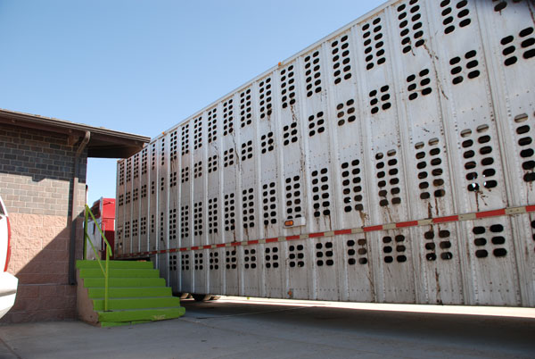 U.S. beef exports continue sluggish U.S. beef exports continue sluggish