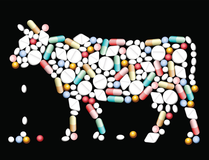 A beef producer’s guide for use of antibiotics