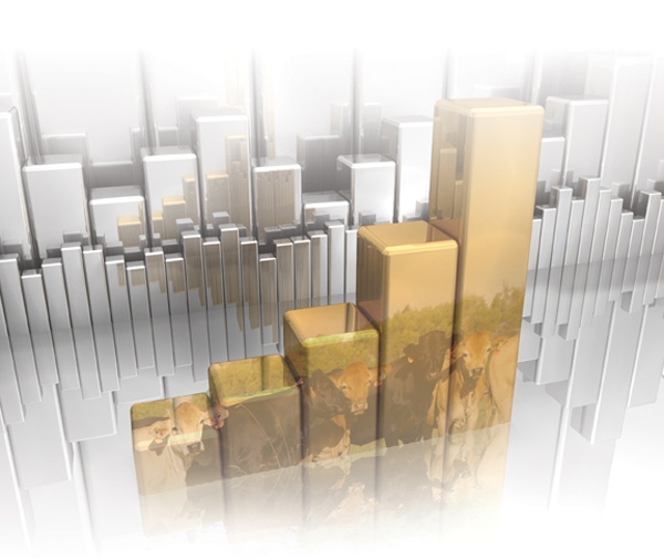 New Markets, New Management, New Opportunities New Markets, New Management, New Opportunities