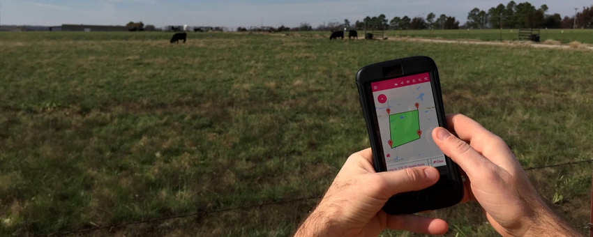 5 Trending Headlines: Measure pastures with your phone; PLUS: Is the cowherd increasing? 5 Trending Headlines: Measure pastures with your phone; PLUS: Is the cowherd increasing?
