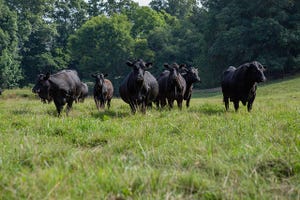 4 things to cross off your to-do list before breeding season begins