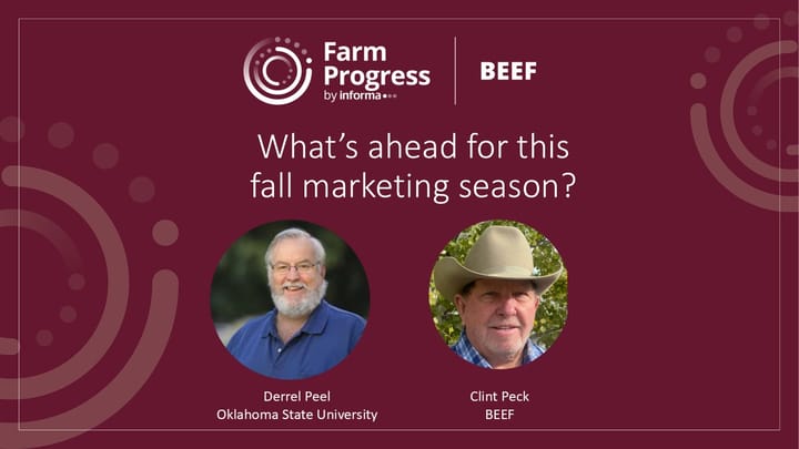What’s ahead for this fall marketing season?