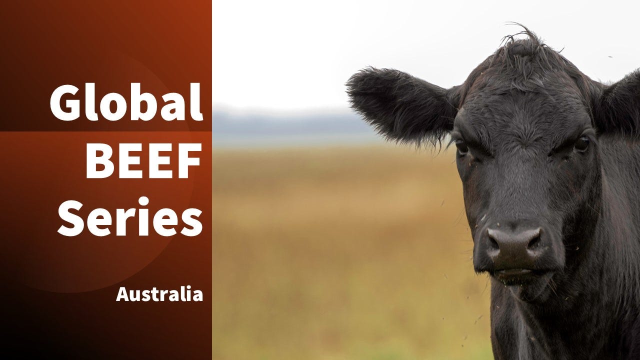 Global beef roundup: Focus on Australia