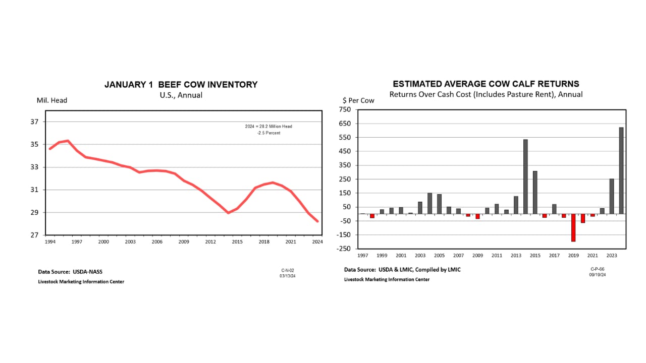 Sample Beef Inventory What the three Ps say about 2025 beef cow inventories