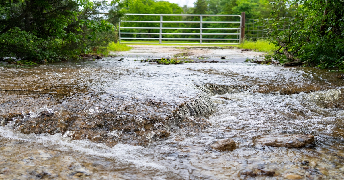 Keep livestock safe during hurricane season with an emergency plan