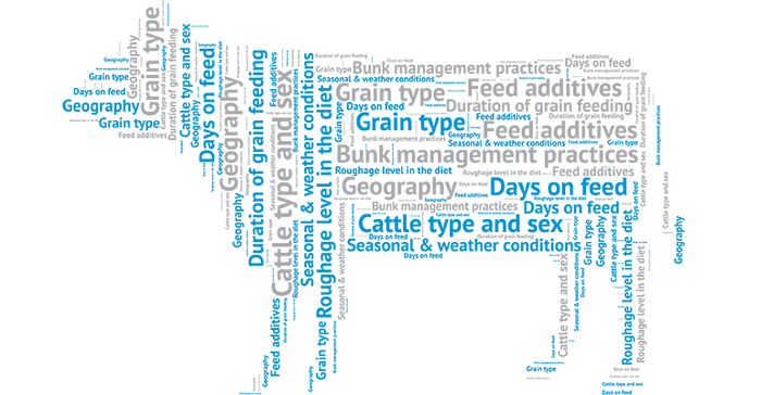 Elanco_Word-Cow-Graphic.png