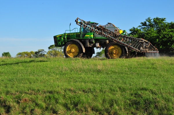 6 Tips  For Cost-Effective Weed Control