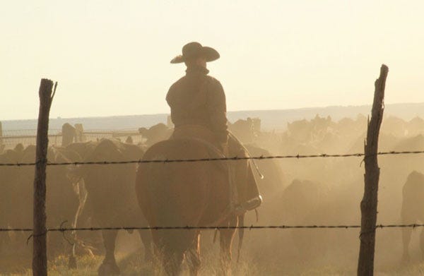 75 photos that showcase a ranch family's HATitude®