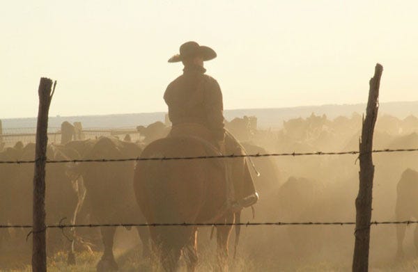 75 photos that showcase a ranch family's HATitude® 75 photos that showcase a ranch family's HATitude®
