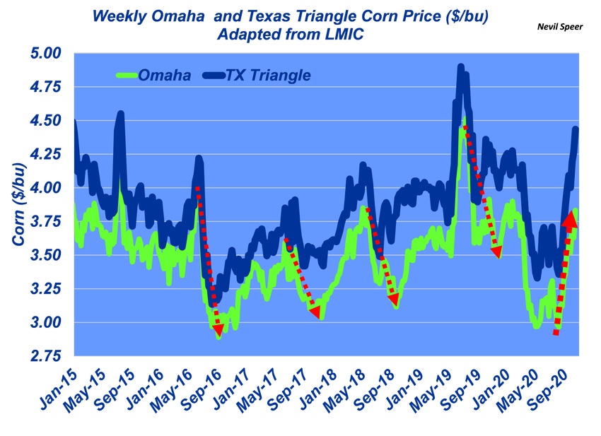 10-22-20 corn.png 10-22-20 corn.png