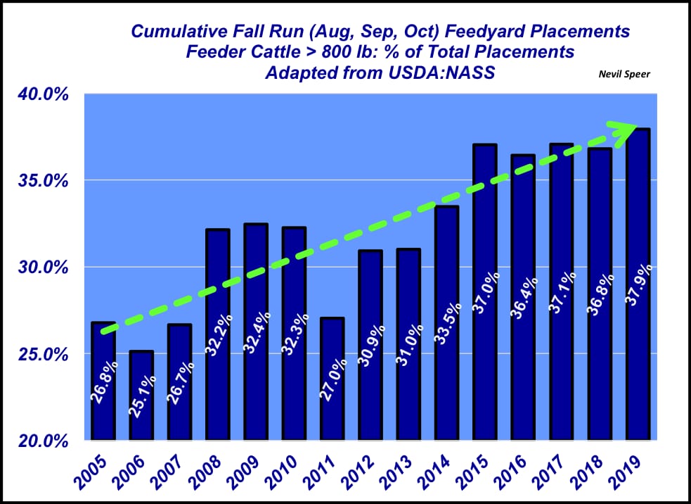 Fall run placements getting heavier