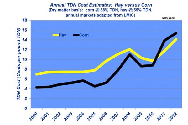 beef cattle feed prices, corn vs. hay