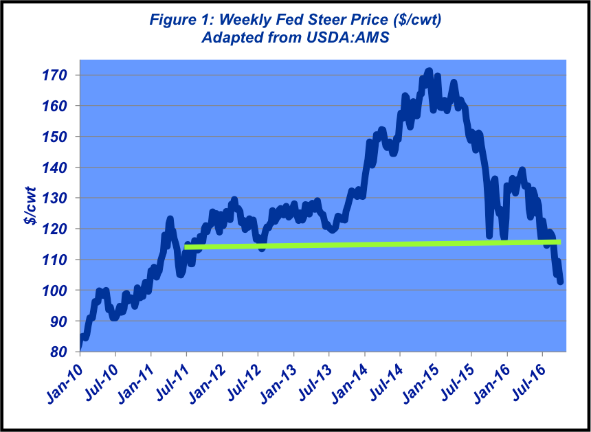 Head fake: September fed market fooled just about everybody