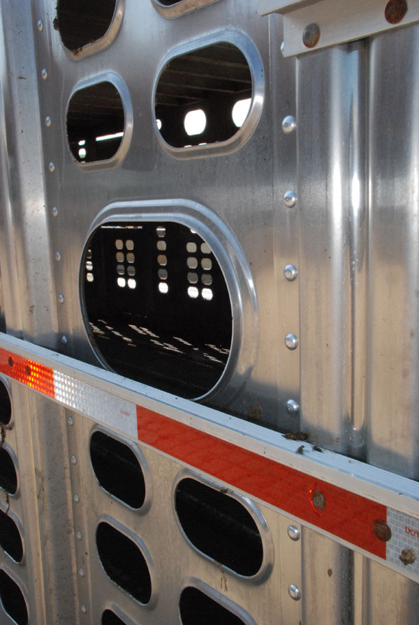 Demand Whacks Cattle Prices Demand Whacks Cattle Prices