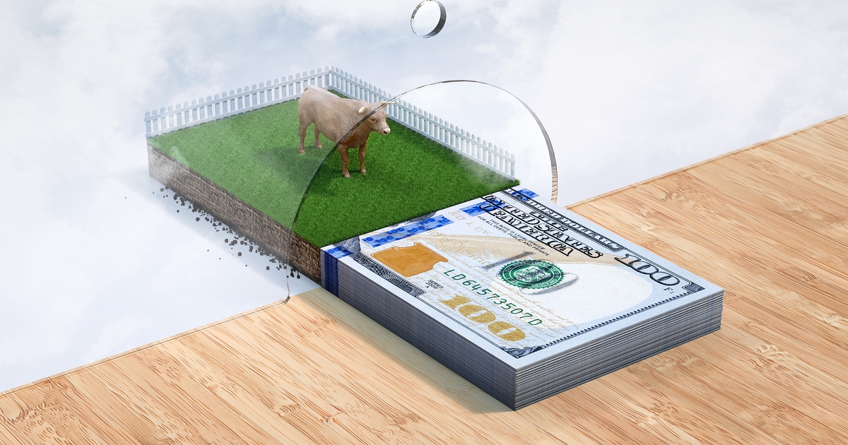 Tax implications of increased profits for cattle operations