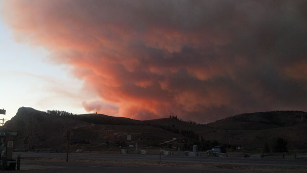Government Policy Hampers Wildfire Recovery Government Policy Hampers Wildfire Recovery