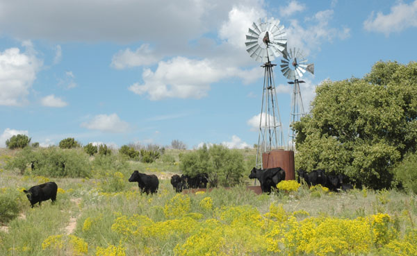Sustainability on the ranch