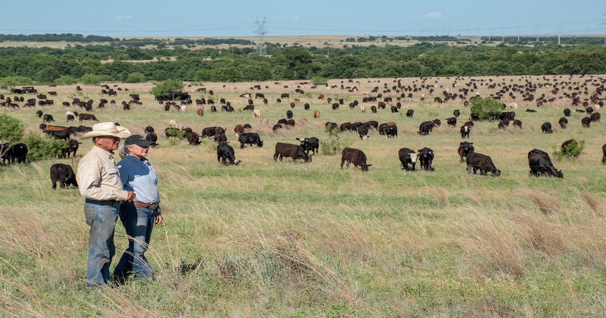Six operations honored for land stewardship | Beef Magazine
