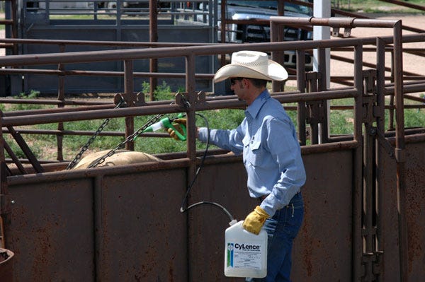 6 Trending Headlines: What happens when you change calving season? PLUS: Dealing with parasites