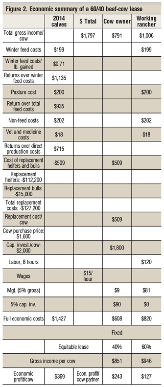 What are the economics of a beef cow lease agreement?