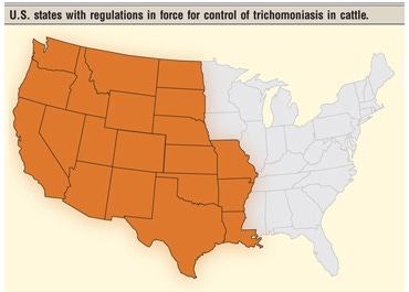 Trichomoniasis Is Spreading Across The U.S.
