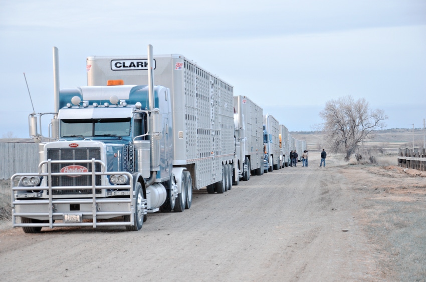 Beef producers applaud 90-day waiver of ELD trucking rule Beef producers applaud 90-day waiver of ELD trucking rule