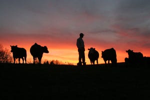 9 lessons to make your ranching life richer
