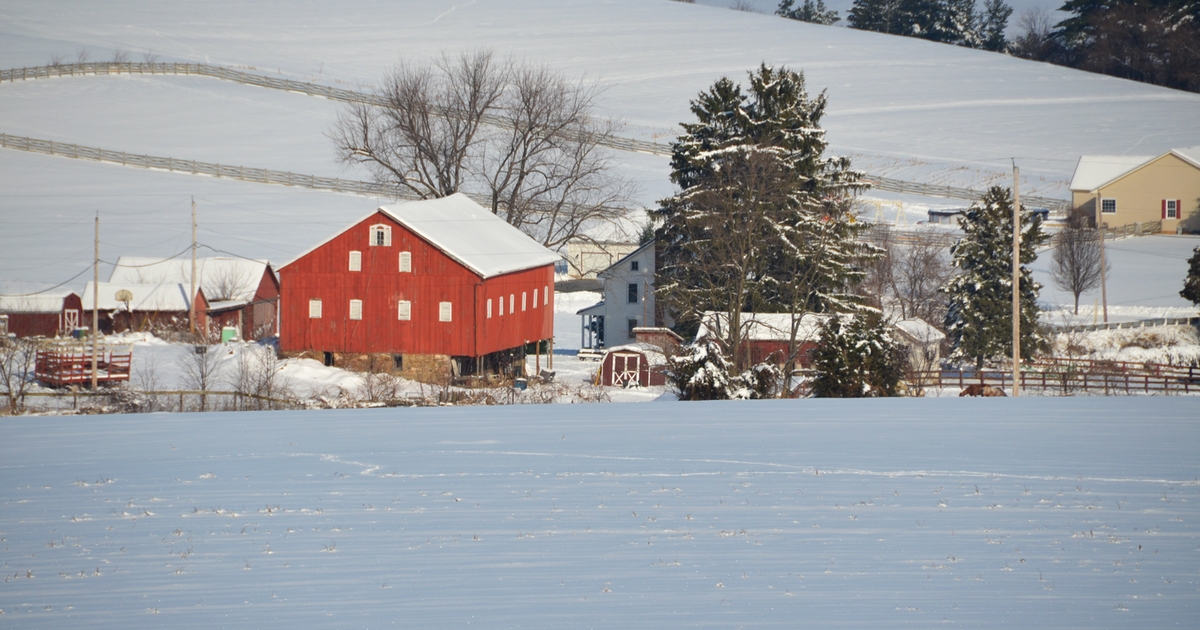 Will this winter be cold or mild?