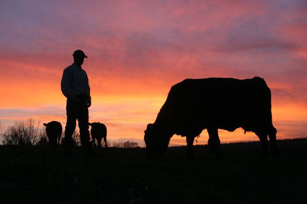 Why ranching should be profitable and fun Why ranching should be profitable and fun