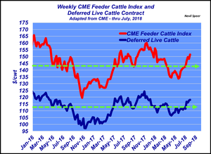 Feeder cattle price trends; will this fall’s market toe the line?