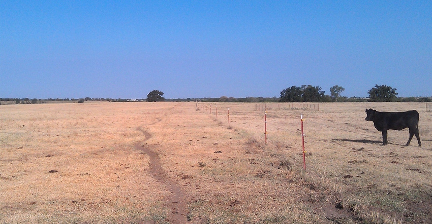 Drought stricken field