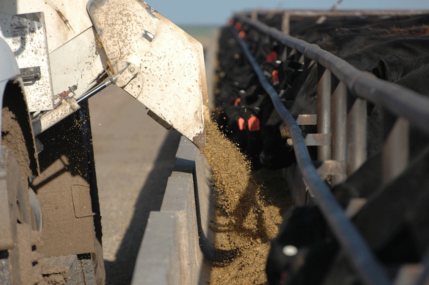 Feed Composition Tables: How to use the 2017 data to mix the best feed for your cattle
