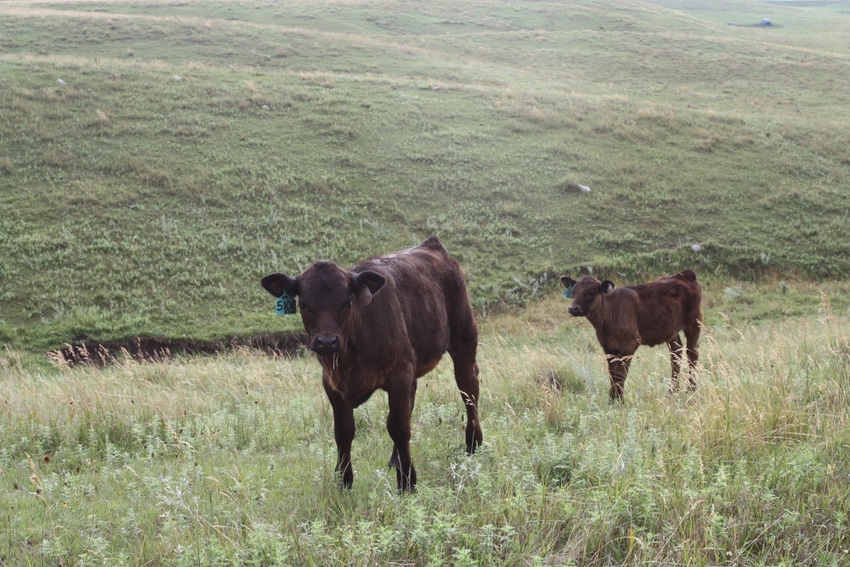 Advocacy isn’t just a buzz word in ag Advocacy isn’t just a buzz word in ag