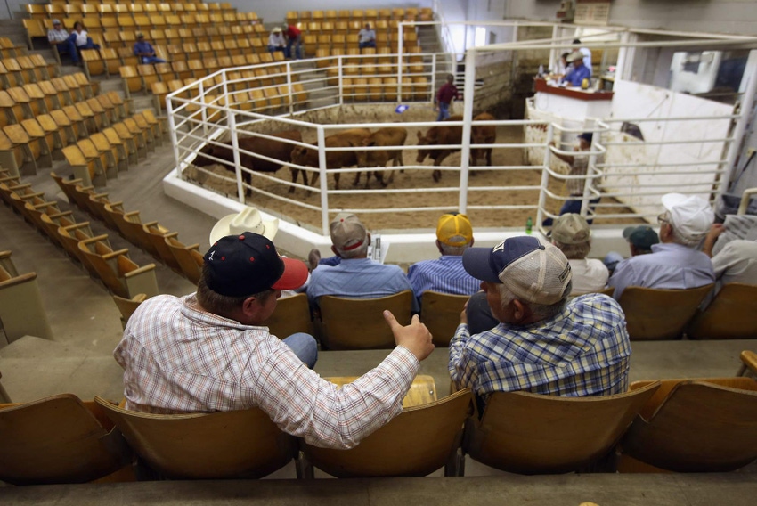 Of cattle, people and why we're in this crazy business Of cattle, people and why we're in this crazy business