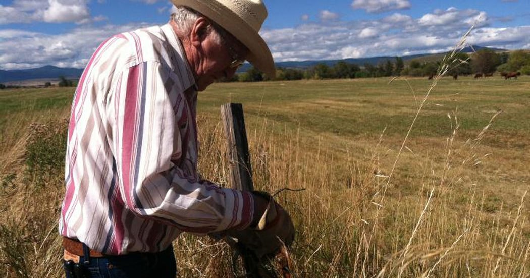 Working Farm Ranch VOTE NOW: 15 photo finalists depicting hard-working ranchers