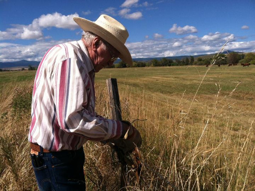 VOTE NOW: 15 photo finalists depicting hard-working ranchers