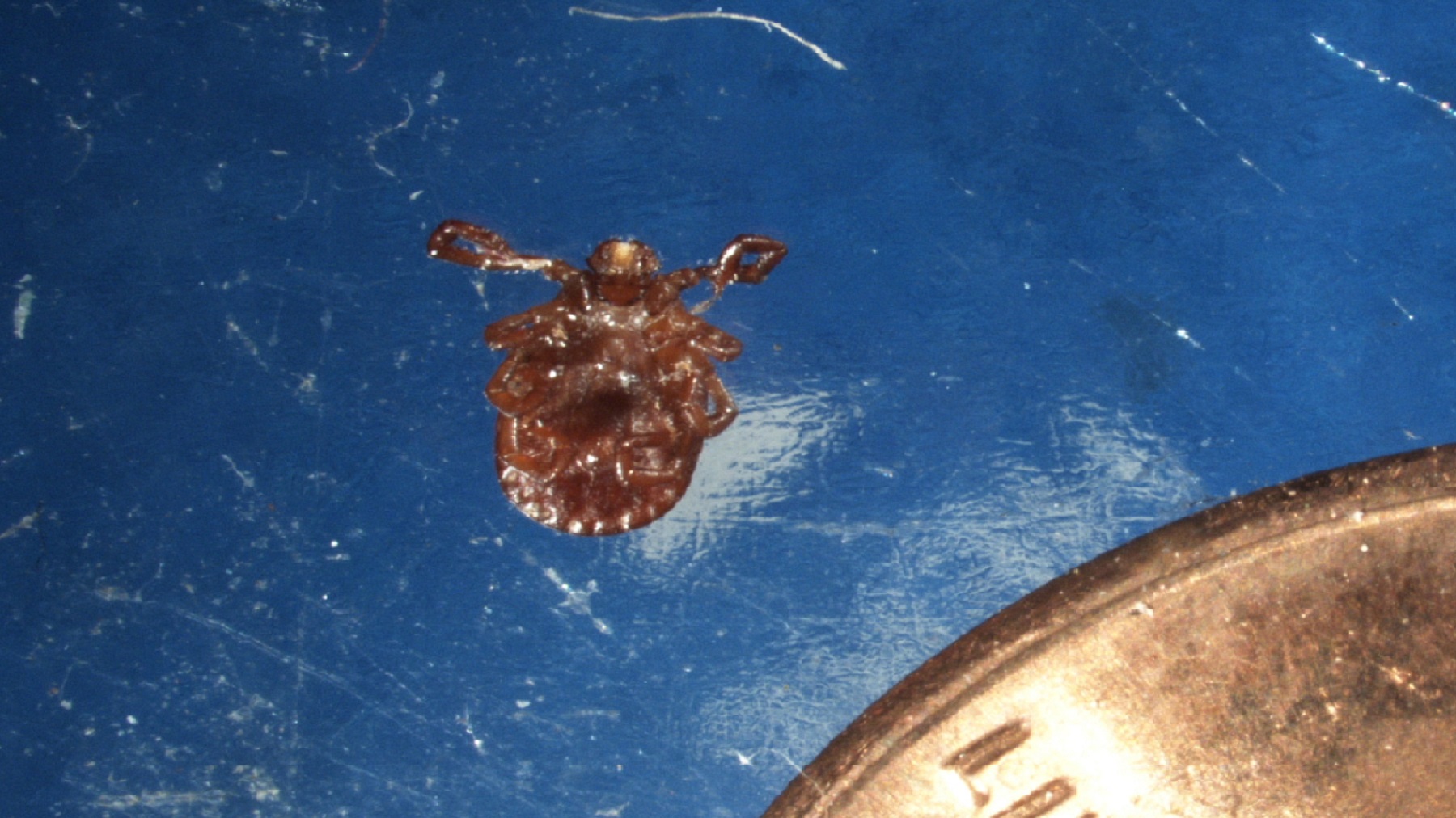 Farm Progress America, May 3, 2024