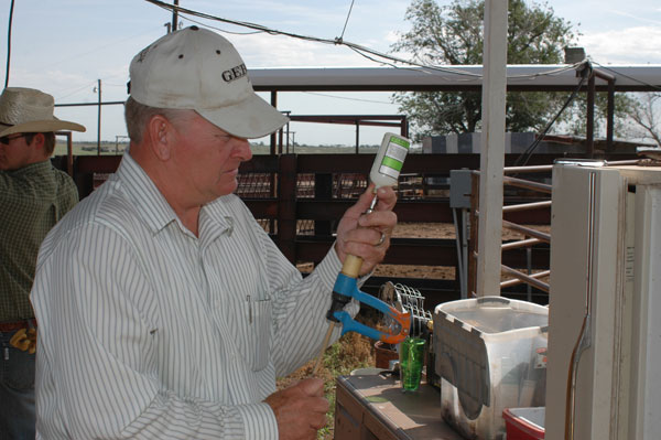 Cattle producers under the microscope; good antibiotic stewardship is a must