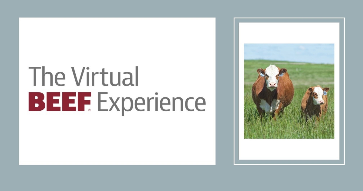 Join us for The Virtual BEEF Experience