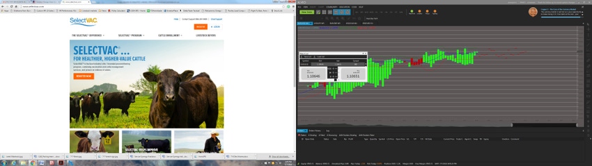 Zoetis rebuilds its preconditioning website Zoetis rebuilds its preconditioning website