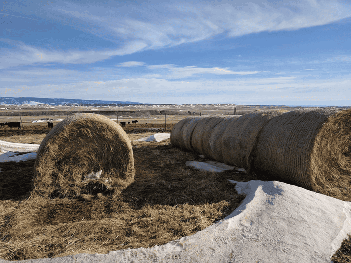 October-2018-round-bales-in-line---Emily-Maccage.png