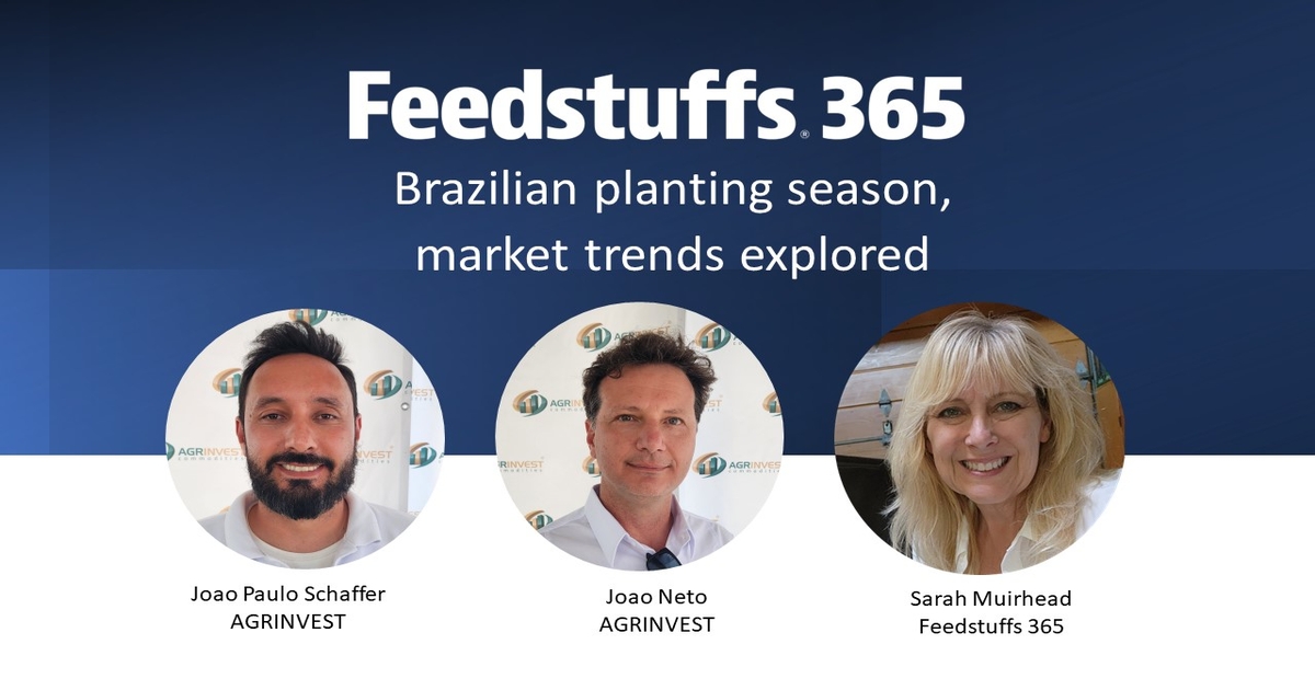 Brazilian planting season, market trends explored