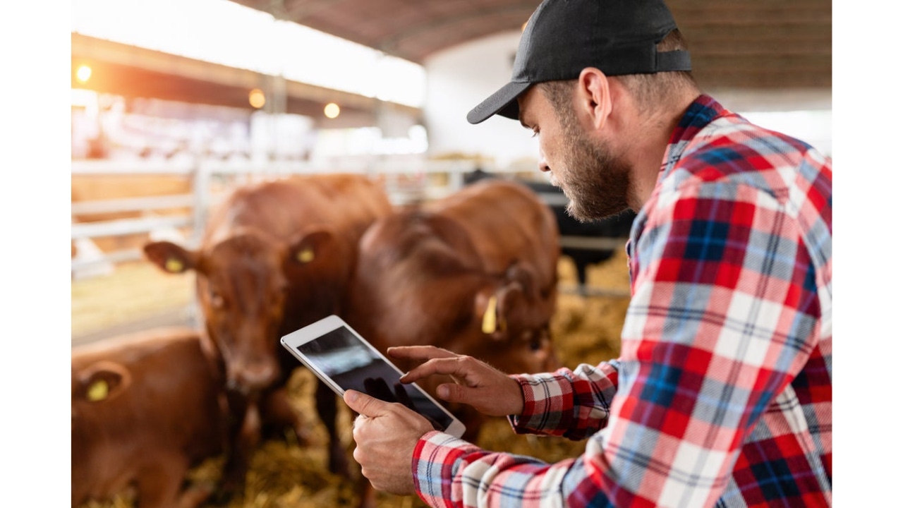 Cattle recordkeeping system for success