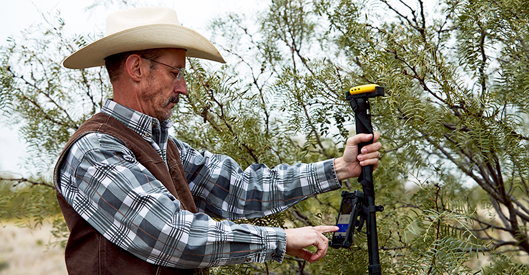 Consider how technology can ease planning, enhance mesquite control