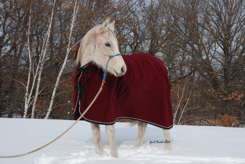 WikSmart Cooling Blanket