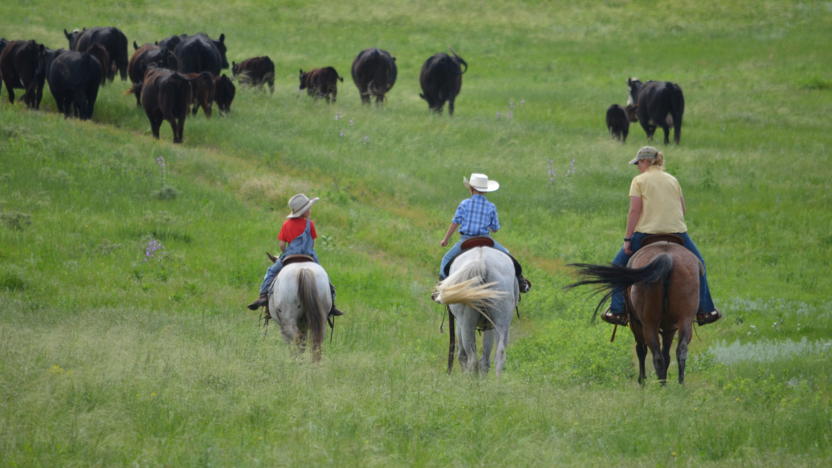 Health Ranch