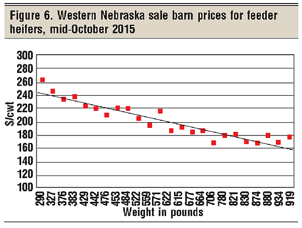 feeder heifer sale barn prices
