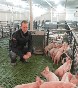 Ryan-Veldhuizen-with-pigs.png Ryan-Veldhuizen-with-pigs.png